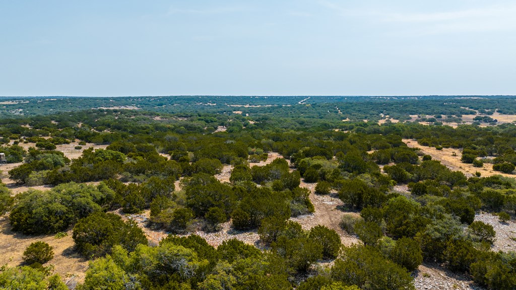 3417 Kc 443 Harper, TX 78631 - Photo 59 of 65 an aerial view of residential houses with city view