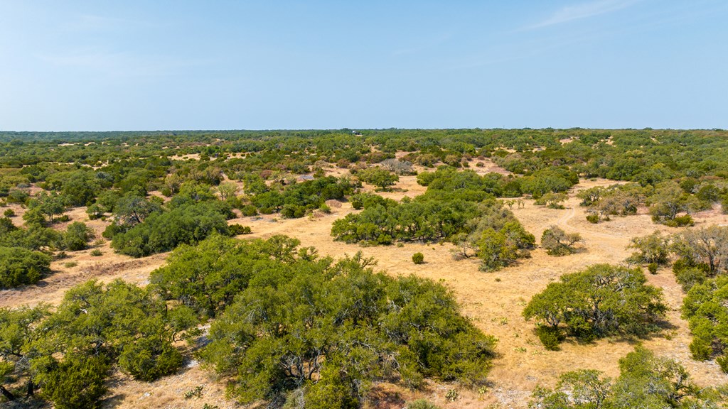 3417 Kc 443 Harper, TX 78631 - Photo 61 of 65 a view of ocean