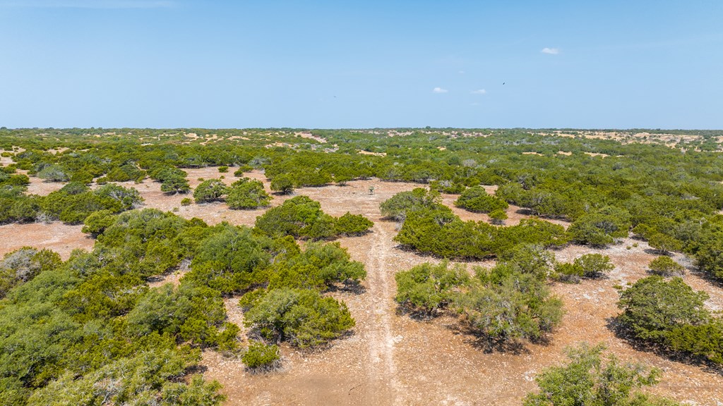 3417 Kc 443 Harper, TX 78631 - Photo 62 of 65