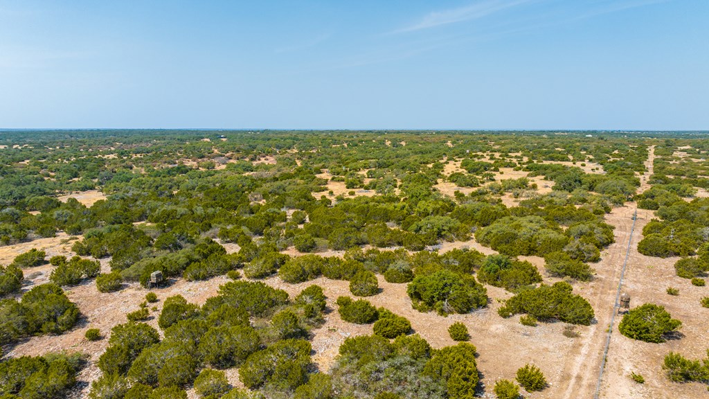 3417 Kc 443 Harper, TX 78631 - Photo 63 of 65