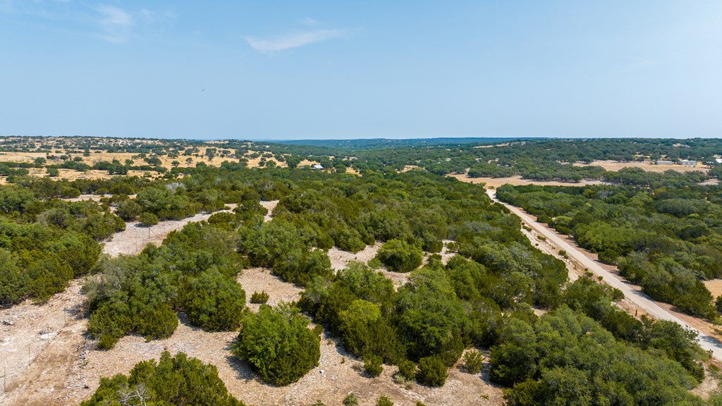 3417 Kc 443 Harper, TX 78631 - Photo 7 of 65 an aerial view of residential houses with outdoor space and trees