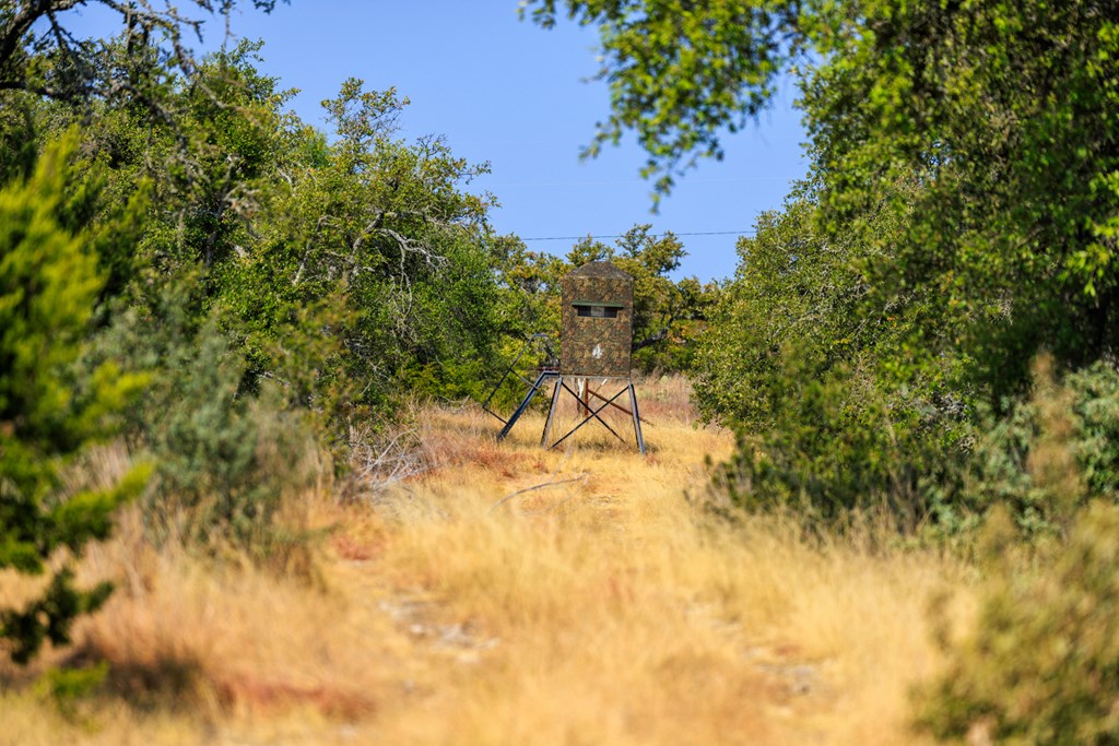 3417 Kc 443 Harper, TX 78631 - Photo 9 of 65 a view of yard with small space