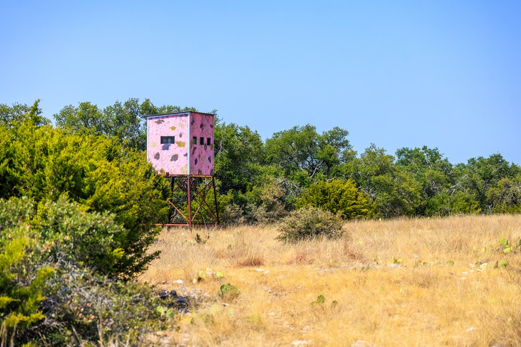 3417 Kc 443 Harper, TX 78631 - Photo 10 of 65