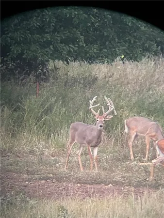 $1,100,000 | 2354 65th Street, Bronson, KS 66716