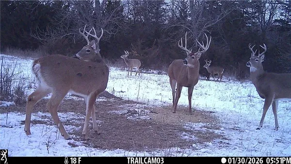 $1,100,000 | 2354 65th Street, Bronson, KS 66716