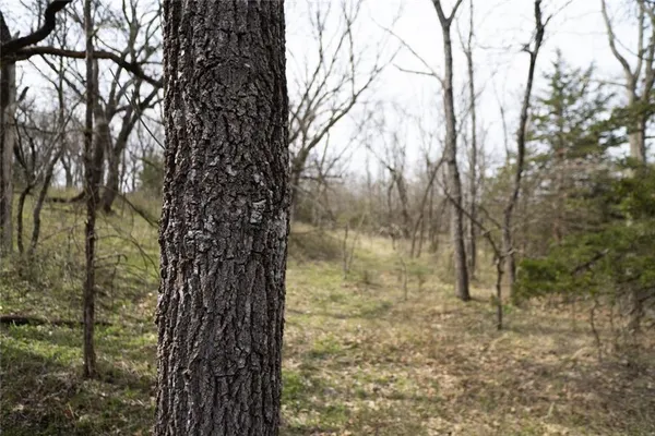 $1,100,000 | 2354 65th Street, Bronson, KS 66716