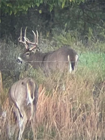 $1,100,000 | 2354 65th Street, Bronson, KS 66716