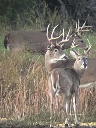 $1,100,000 | 2354 65th Street, Bronson, KS 66716