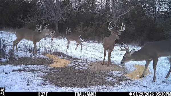 $1,100,000 | 2354 65th Street, Bronson, KS 66716