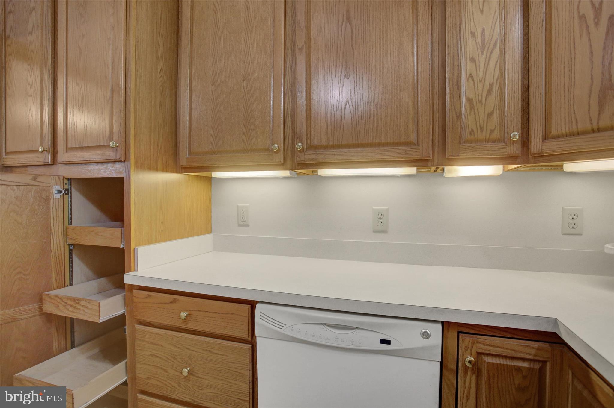 18514 Indian Cottage Road Hagerstown, MD 21742 - Photo 29 of 56 a close view of sink and cabinets