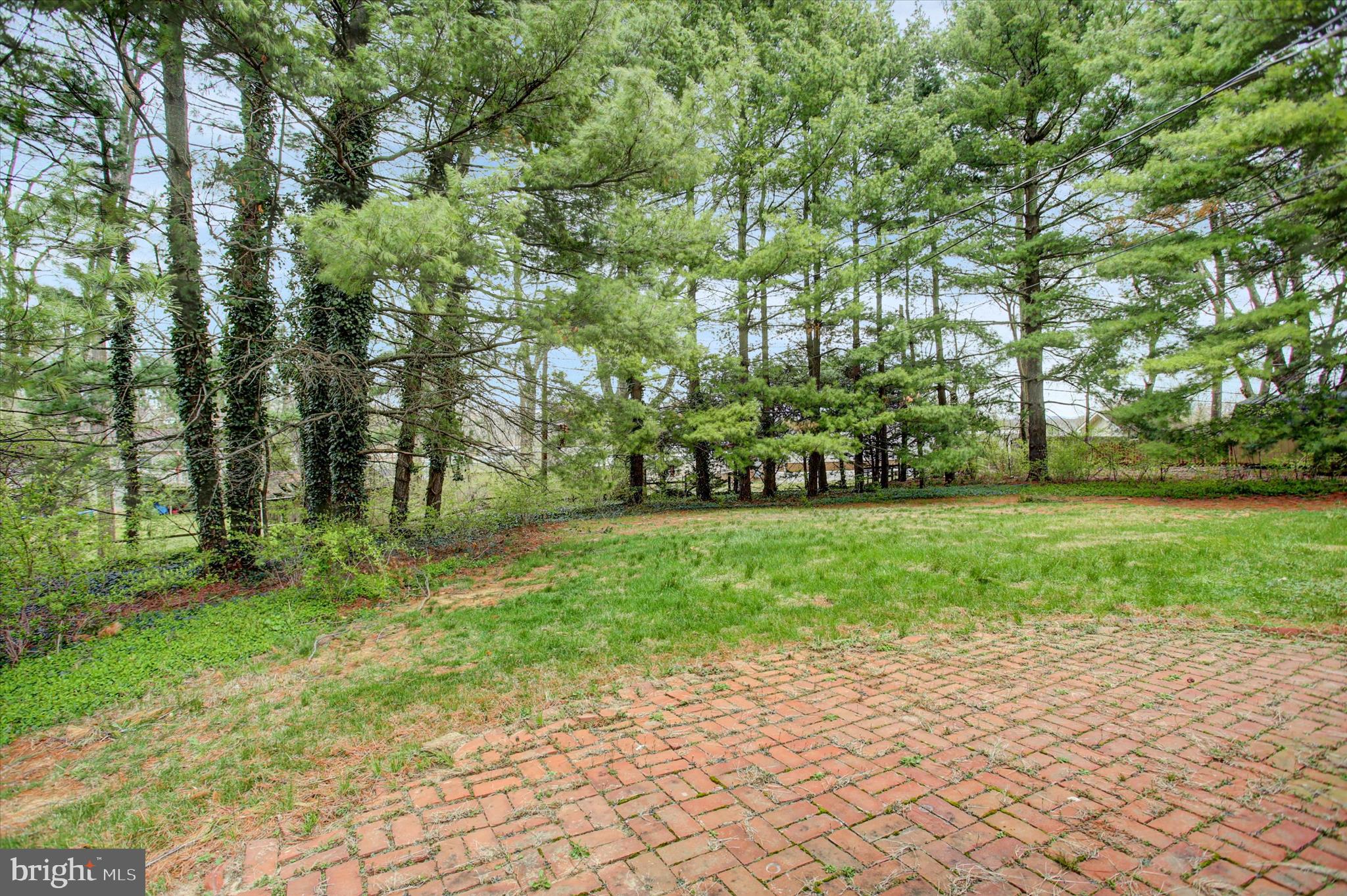 18514 Indian Cottage Road Hagerstown, MD 21742 - Photo 53 of 56 a green field with lots of trees