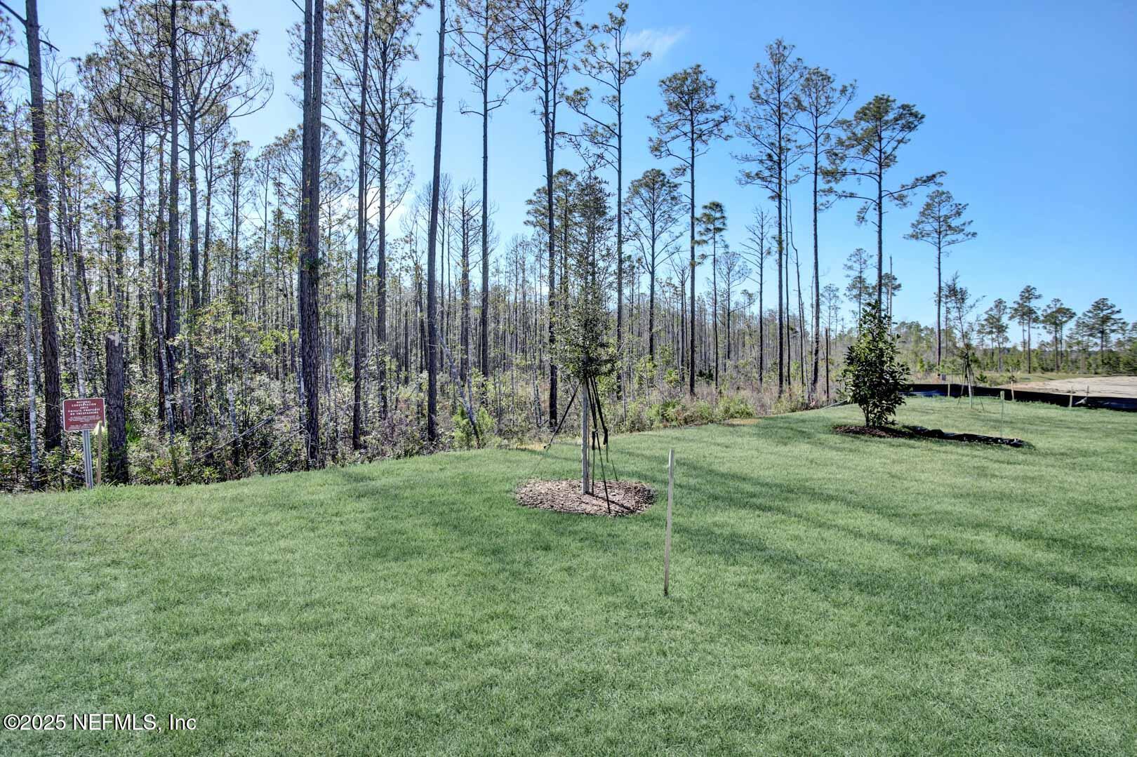 68 Reverie Drive Palm Coast, FL 32137 - Photo 8 of 30 IMG_9406