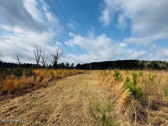 Mt Carmel Church Road Foxworth, MS 39483 - Photo 14 of 29 20250707200511719405000000-o