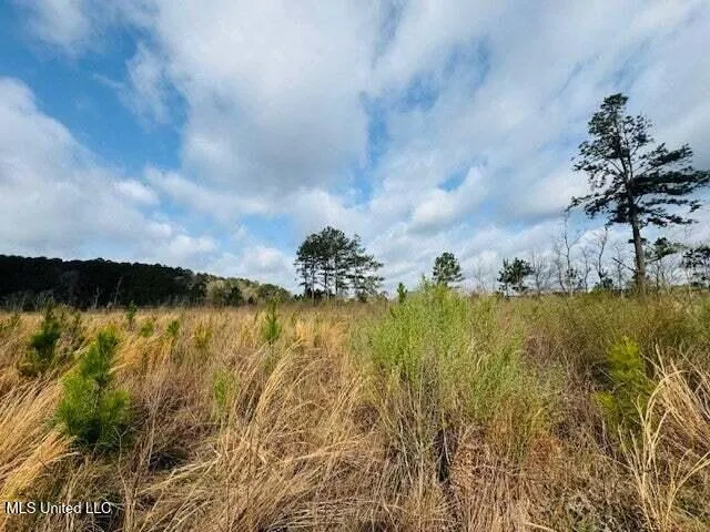 $149,500 | Mt Carmel Church Road, Foxworth, MS 39483