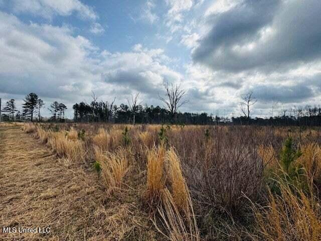 Mt Carmel Church Road Foxworth, MS 39483 - Photo 16 of 29 20250707200511961027000000-o