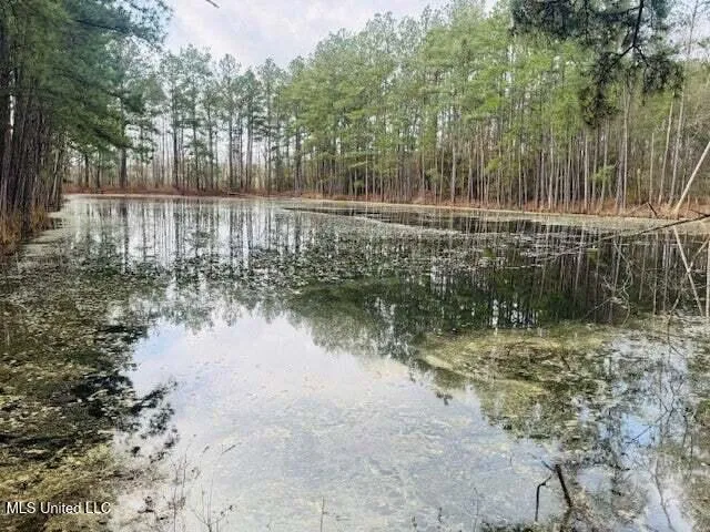 $149,500 | Mt Carmel Church Road, Foxworth, MS 39483