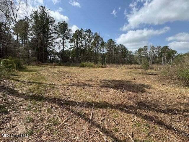 Mt Carmel Church Road Foxworth, MS 39483 - Photo 23 of 29 20250707200512937985000000-o