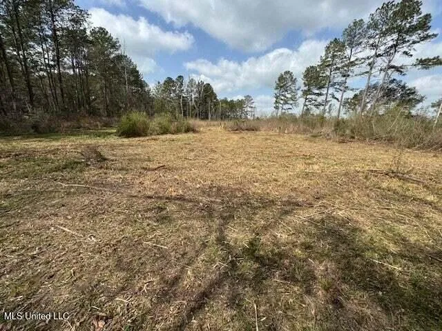 $149,500 | Mt Carmel Church Road, Foxworth, MS 39483