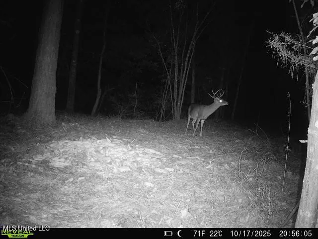 $149,500 | Mt Carmel Church Road, Foxworth, MS 39483