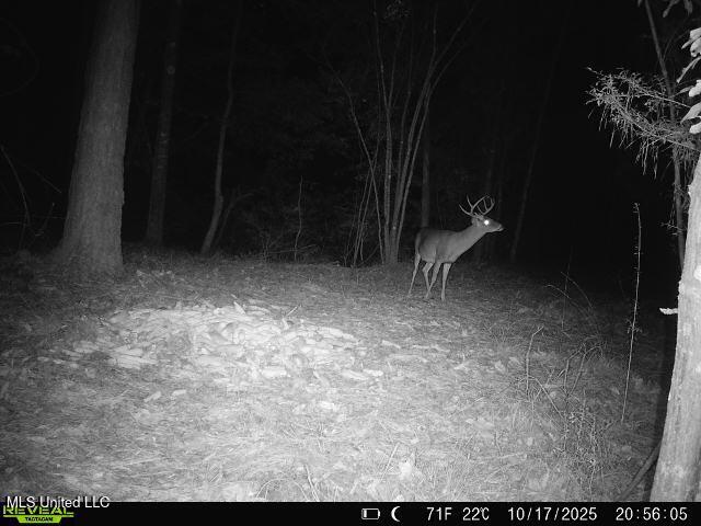 Mt Carmel Church Road Foxworth, MS 39483 - Photo 25 of 29 IMG_5709