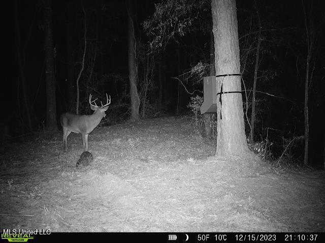 Mt Carmel Church Road Foxworth, MS 39483 - Photo 29 of 29 IMG_5714