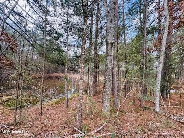 Mt Carmel Church Road Foxworth, MS 39483 - Photo 4 of 29 20250707200510467241000000-o