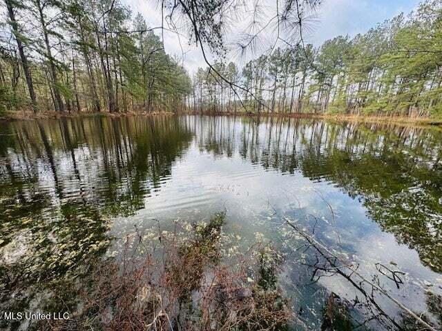 Mt Carmel Church Road Foxworth, MS 39483 - Photo 6 of 29 20250707200510696678000000-o