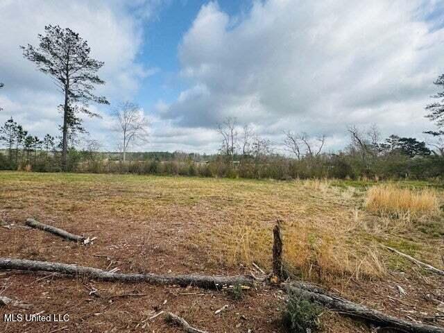 Mt Carmel Church Road Foxworth, MS 39483 - Photo 7 of 29 20250707200510824549000000-o