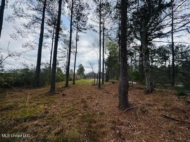 Mt Carmel Church Road Foxworth, MS 39483 - Photo 9 of 29 20250707200511149020000000-o