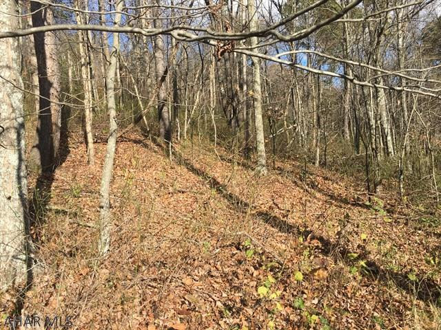 0 Teaberry Hollow Road Schellsburg, PA 15559 - Photo 15 of 16