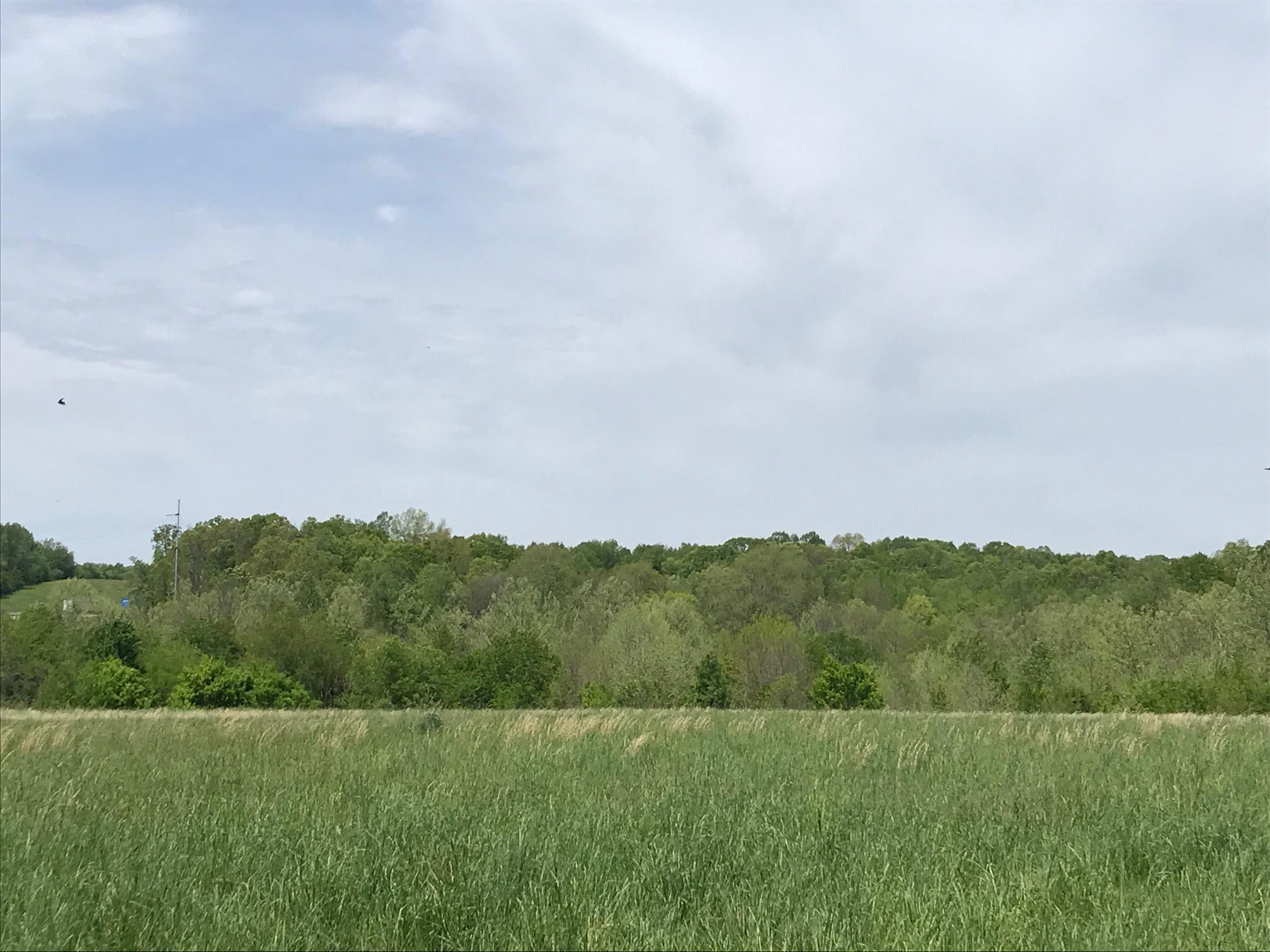 0 Highway 100 Fairview, TN 37062 - Photo 4 of 11 a view of a field with trees in the background