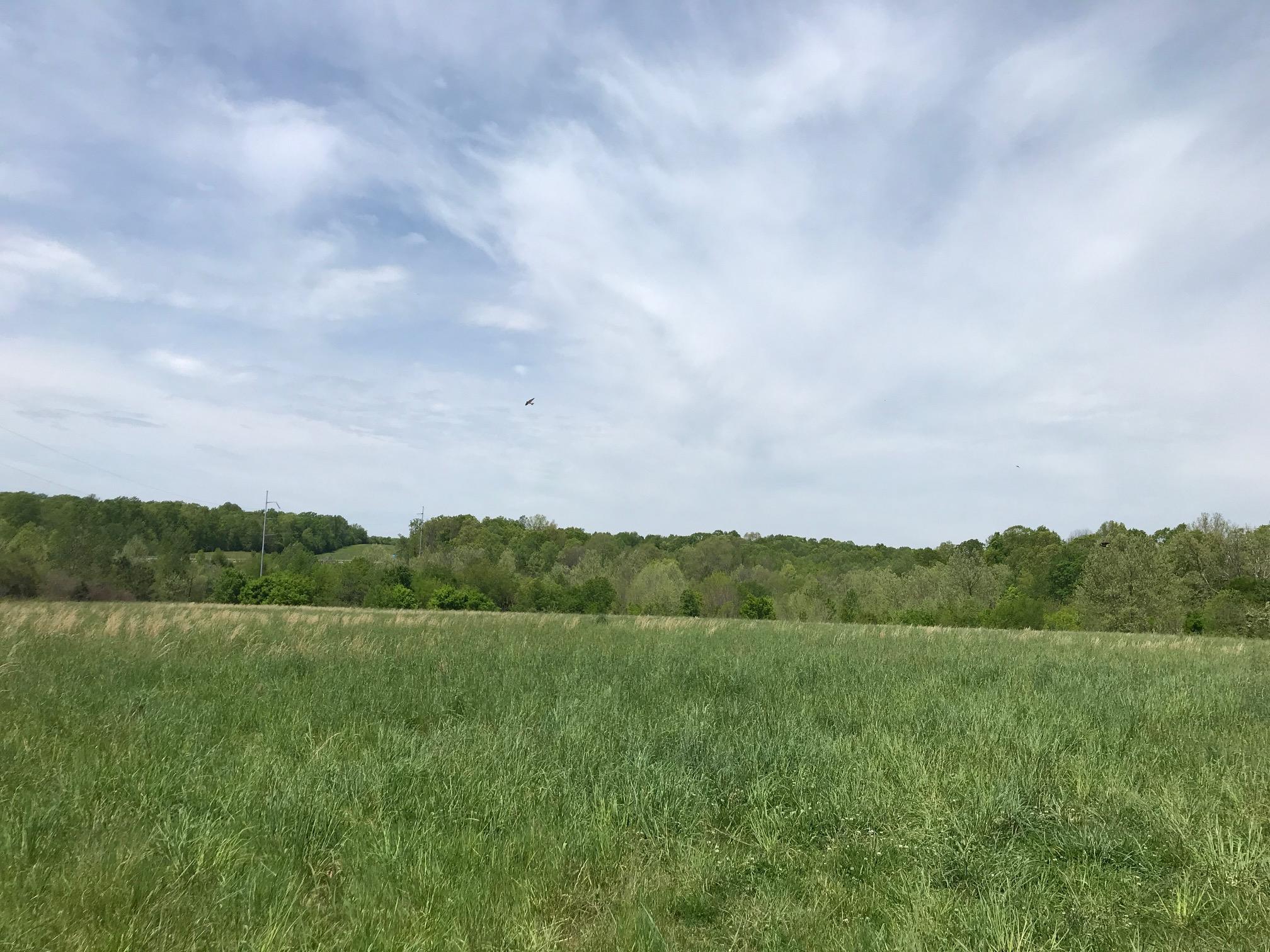 0 Highway 100 Fairview, TN 37062 - Photo 6 of 11 a view of a field with a table and chairs