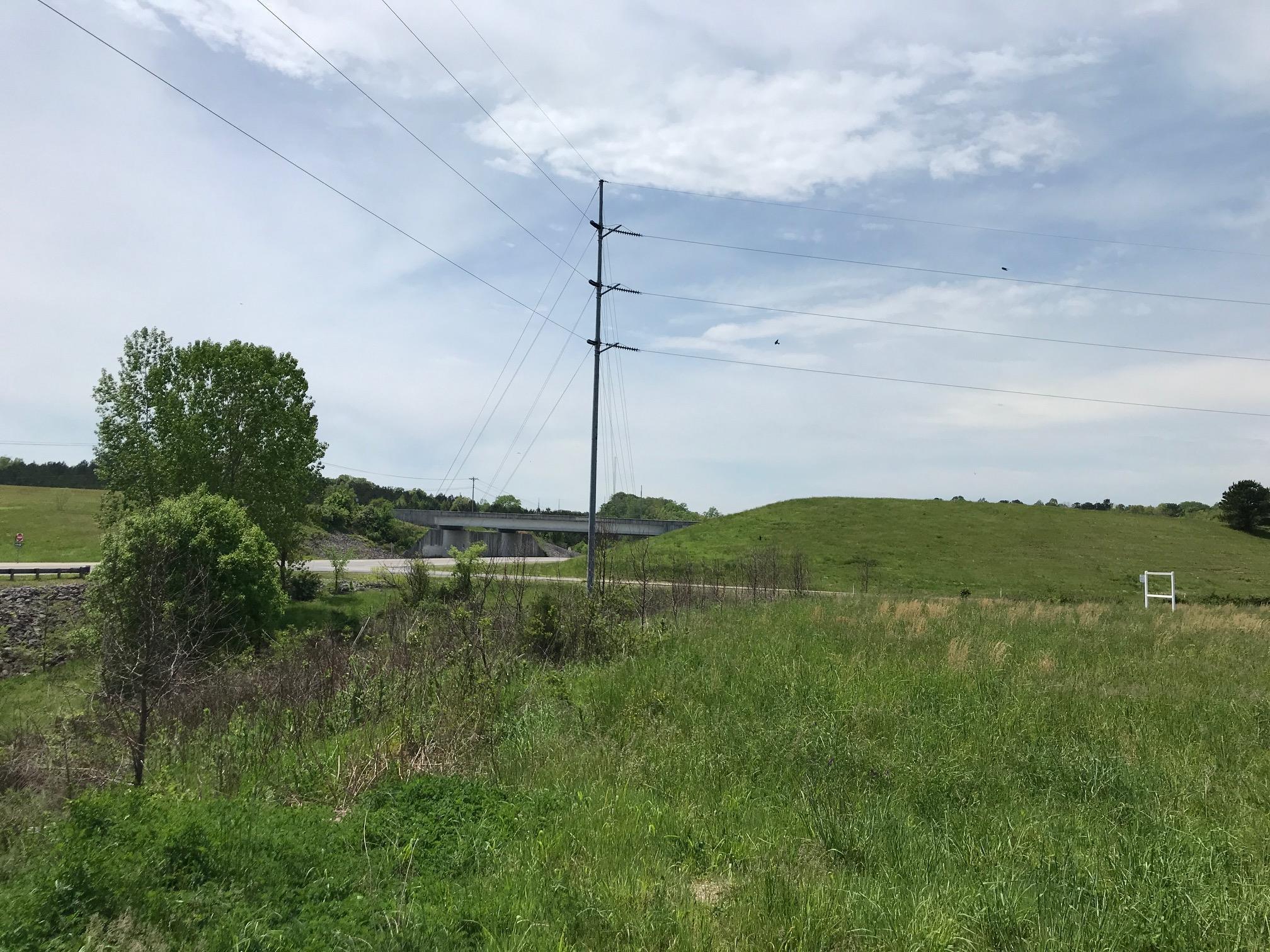 0 Highway 100 Fairview, TN 37062 - Photo 7 of 11 a view of a lake from a yard