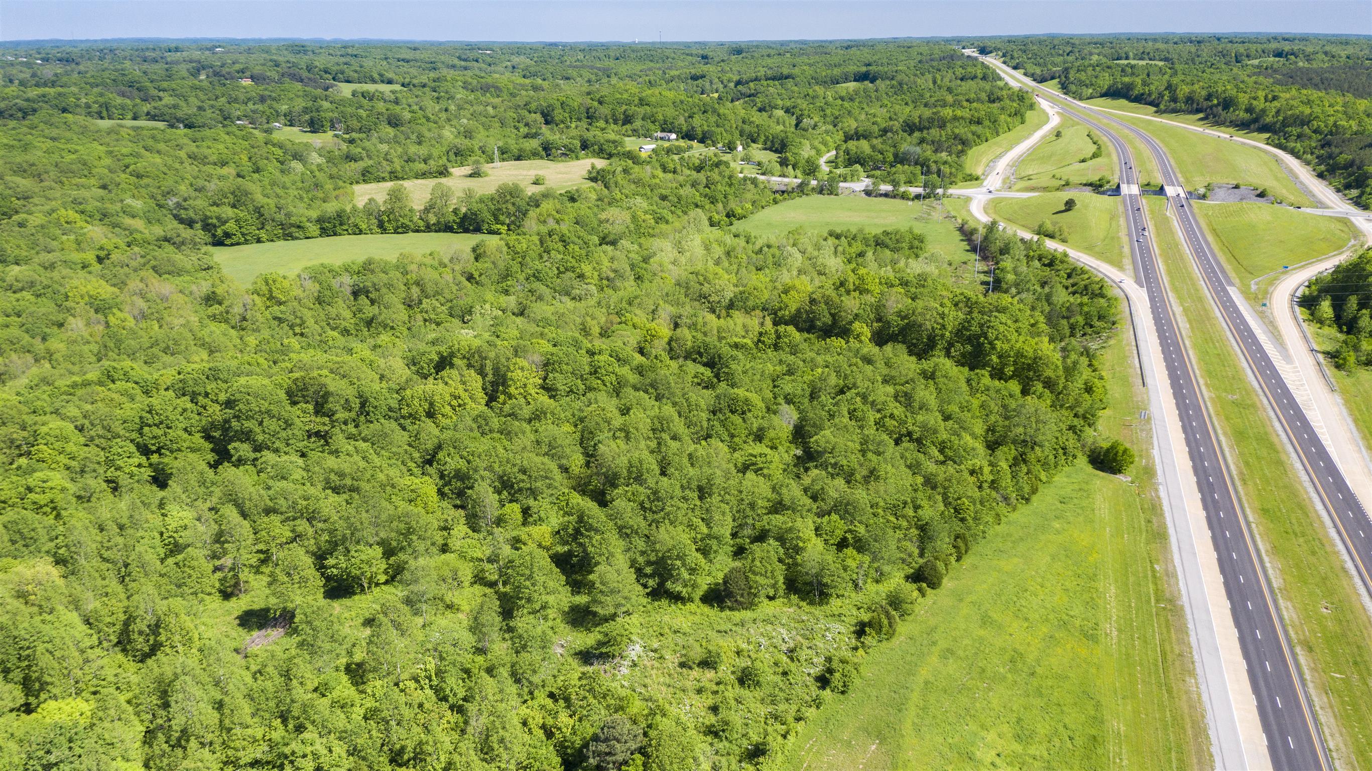0 Highway 100 Fairview, TN 37062 - Photo 8 of 11 a view of a lush green forest with lots of trees