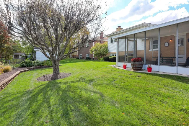 a view of a house with backyard and a tree