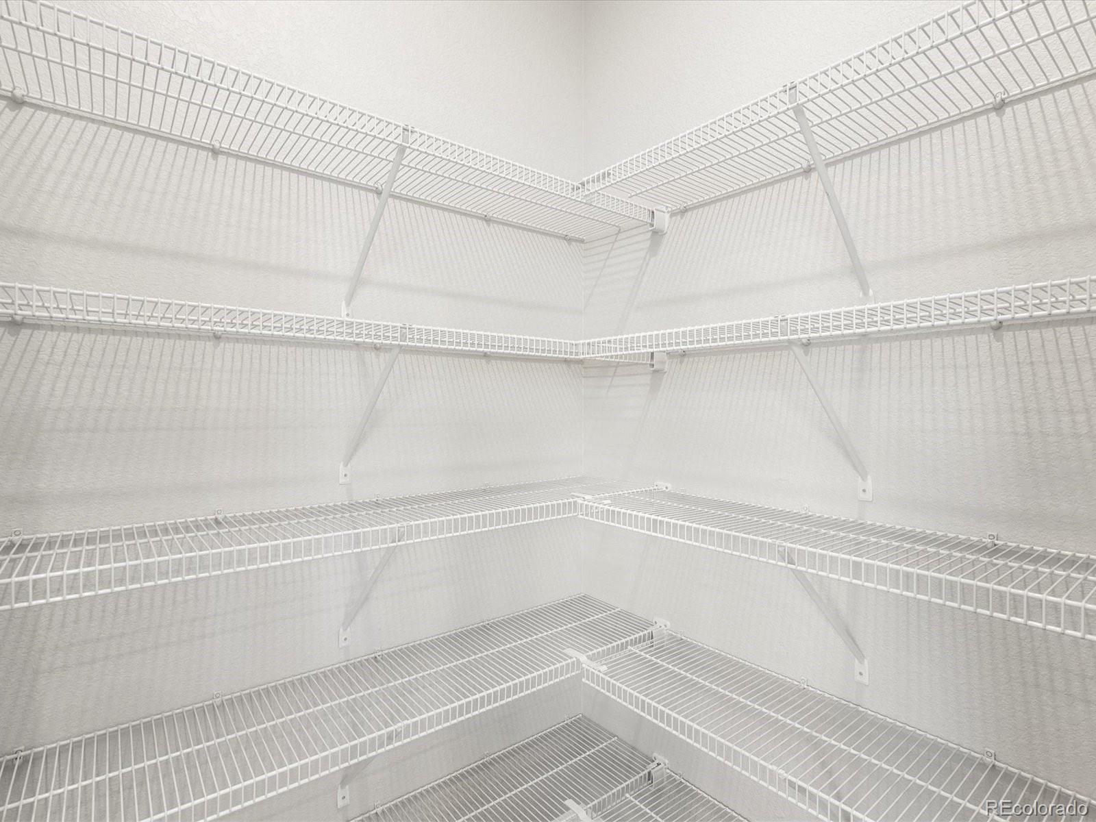 4674 Rabbitbrush Street Johnstown, CO 80534 - Photo 13 of 29 a close up of a shower