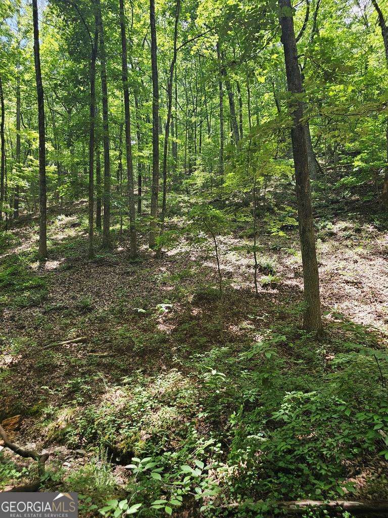 549 Myriad Way, Unit 549 Ranger, GA 30734 - Photo 5 of 23