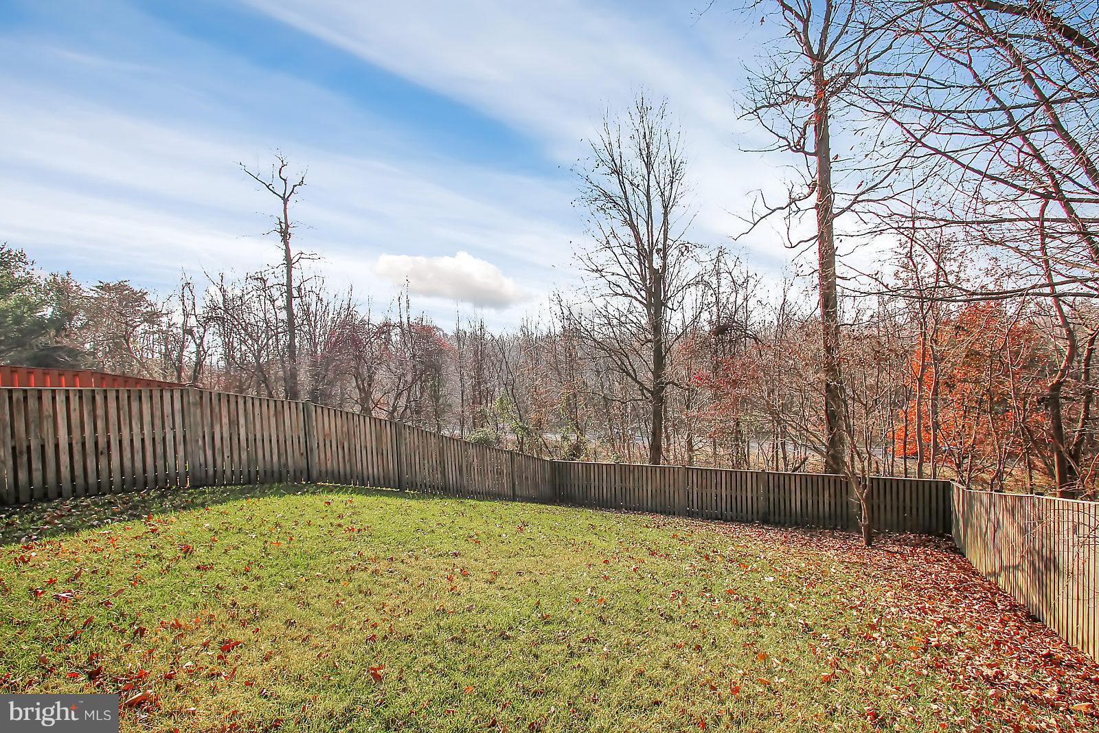 4418 Cole Farm Road Baltimore, MD 21236 - Photo 22 of 24 Your view from the walk-out bmt. patio