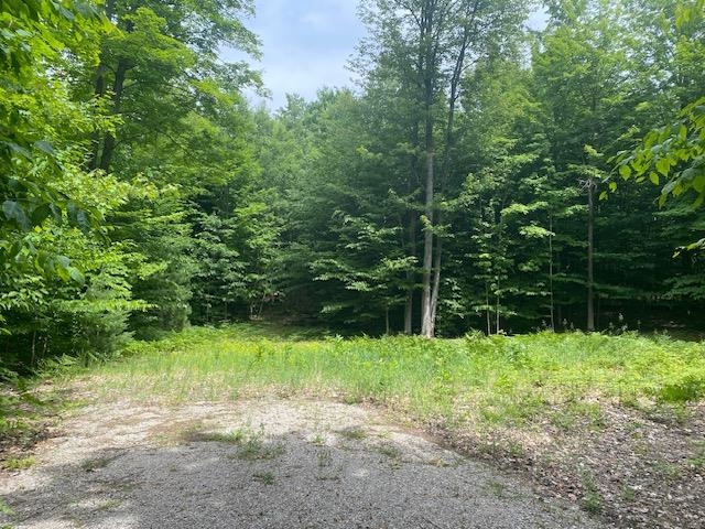 Green Briar Road Lake Ann, MI 49650 - Photo 5 of 16 1947287-4e69bb55-cbfc-46ee-89cb-203361f2413e.JPG