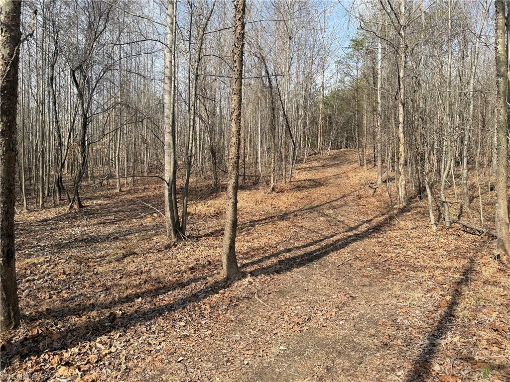 1200 Purcell Road Reidsville, NC 27320 - Photo 48 of 50