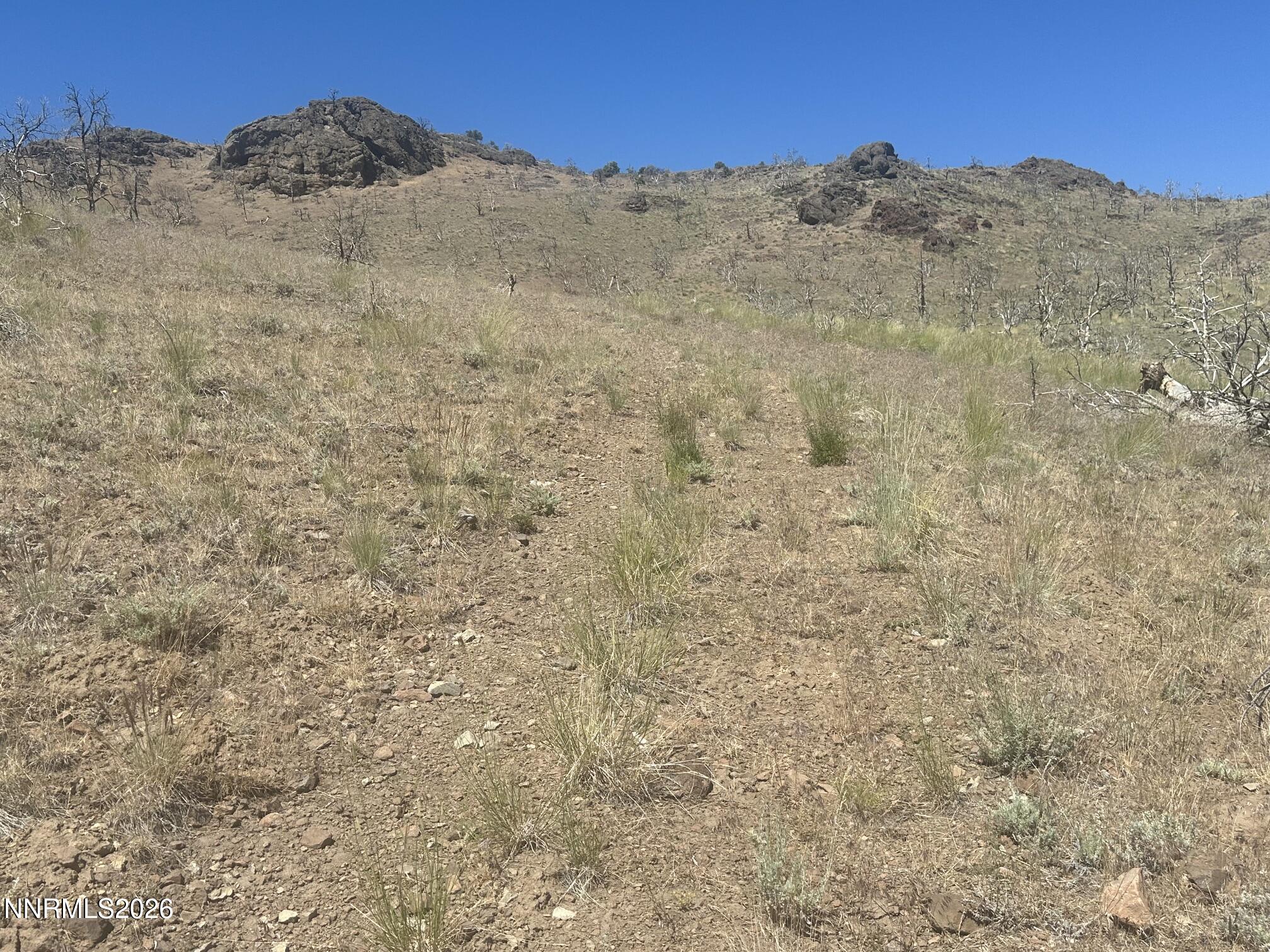 930 Cavelti Road Gardnerville, NV 89410 - Photo 11 of 19 IMG_3317
