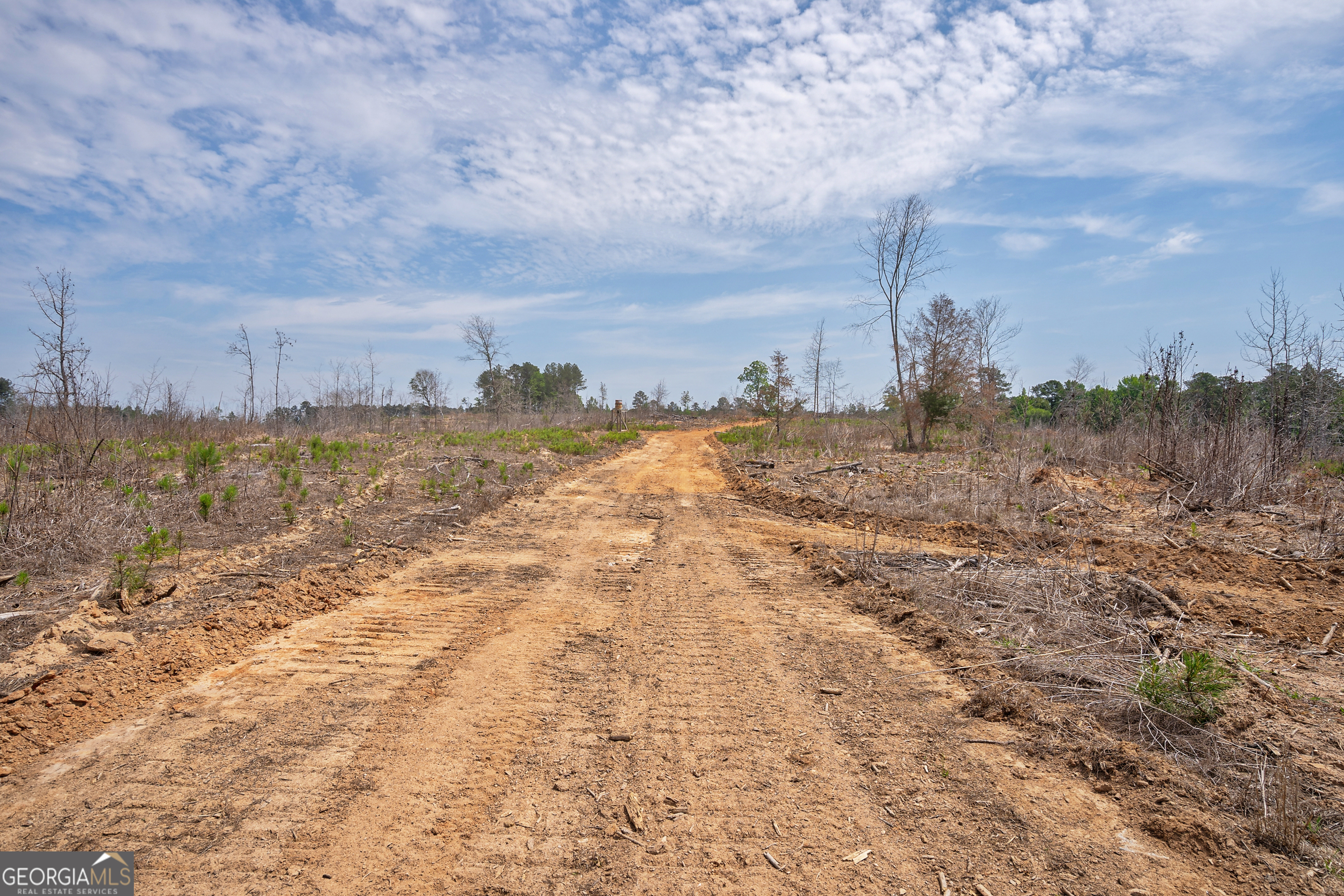 0 Gene Smith Road Carlton, GA 30627 - Photo 21 of 29