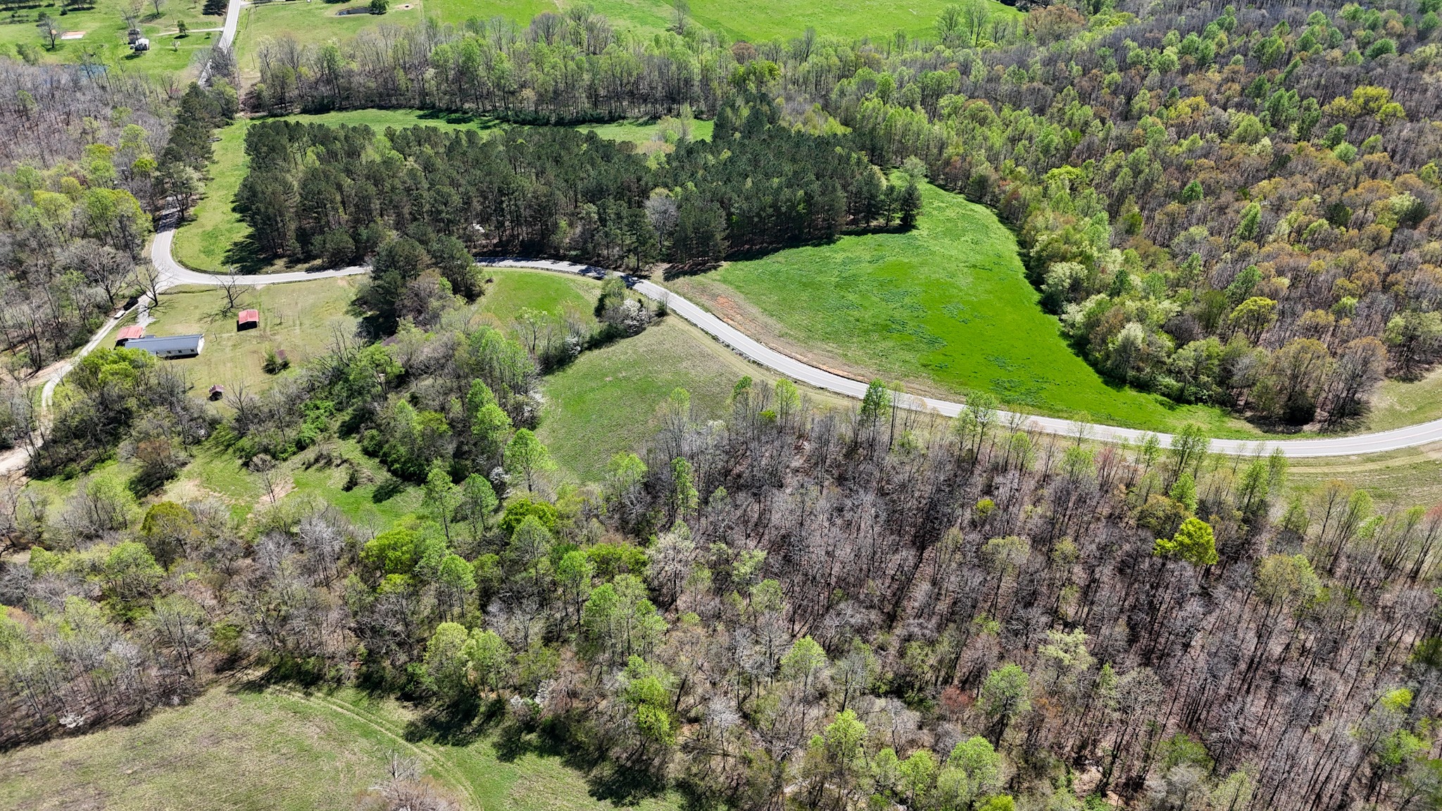 3850 Grandaddy Road Lawrenceburg, TN 38464 - Photo 4 of 61