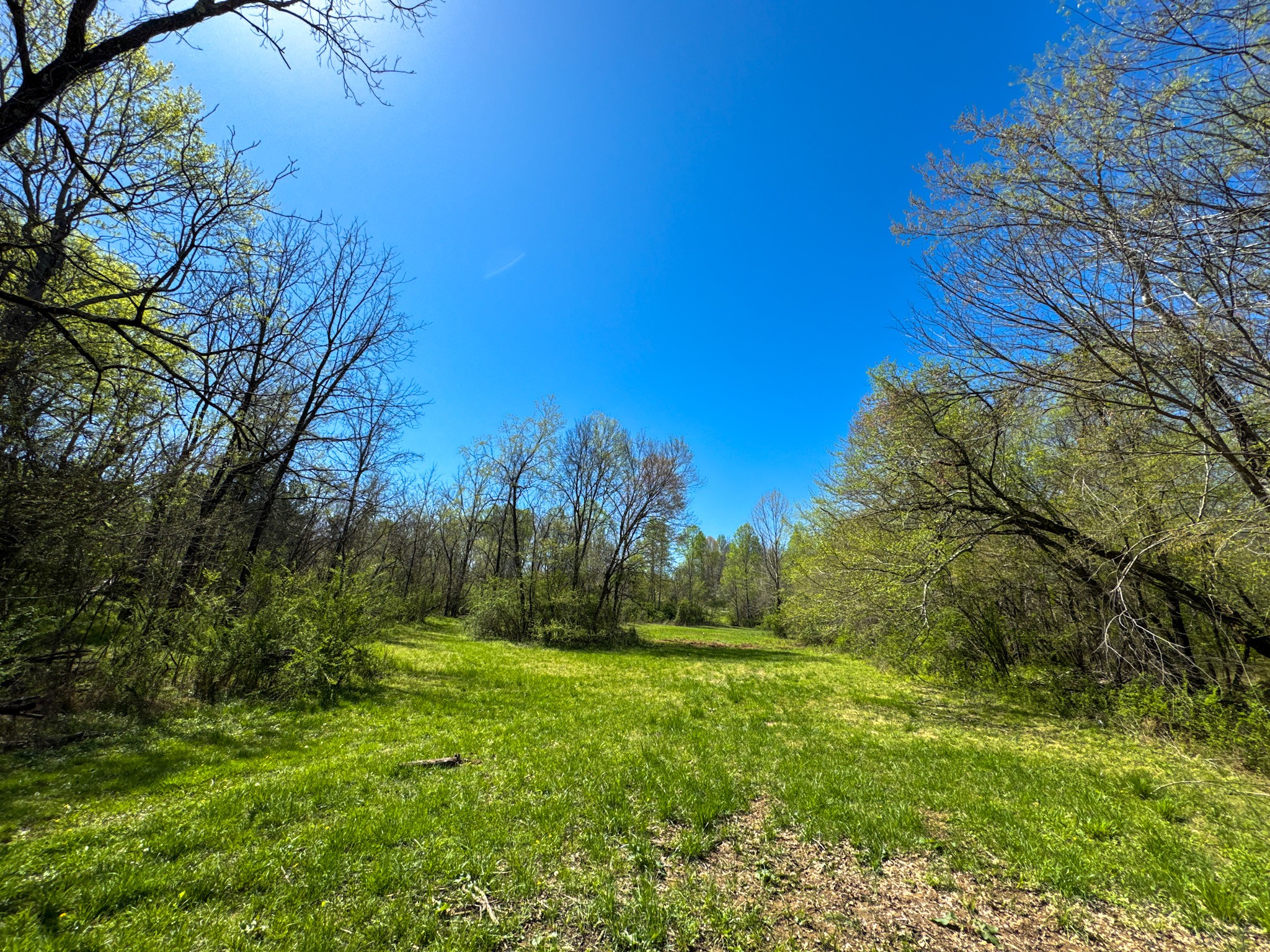 3850 Grandaddy Road Lawrenceburg, TN 38464 - Photo 45 of 61