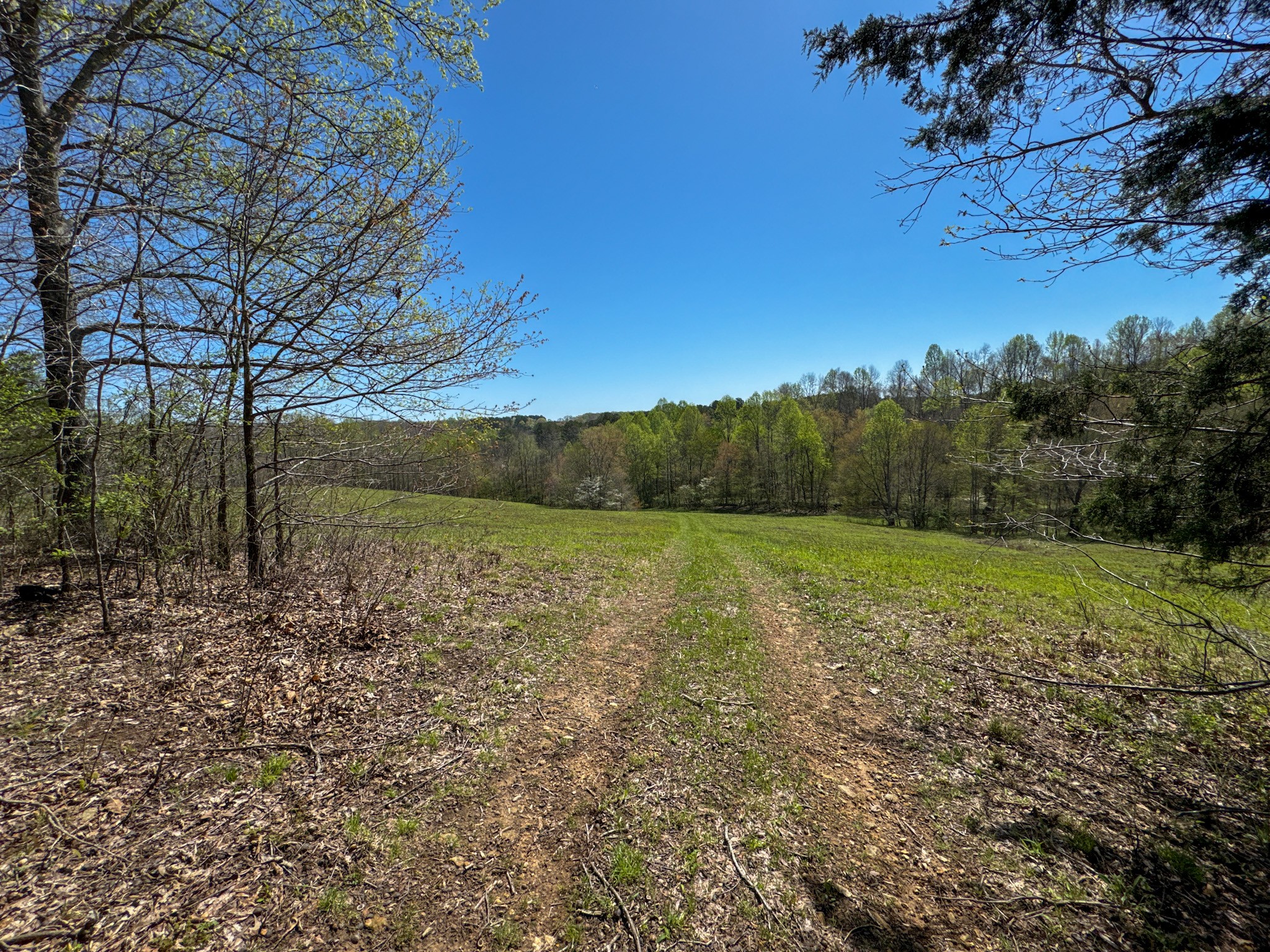 3850 Grandaddy Road Lawrenceburg, TN 38464 - Photo 46 of 61