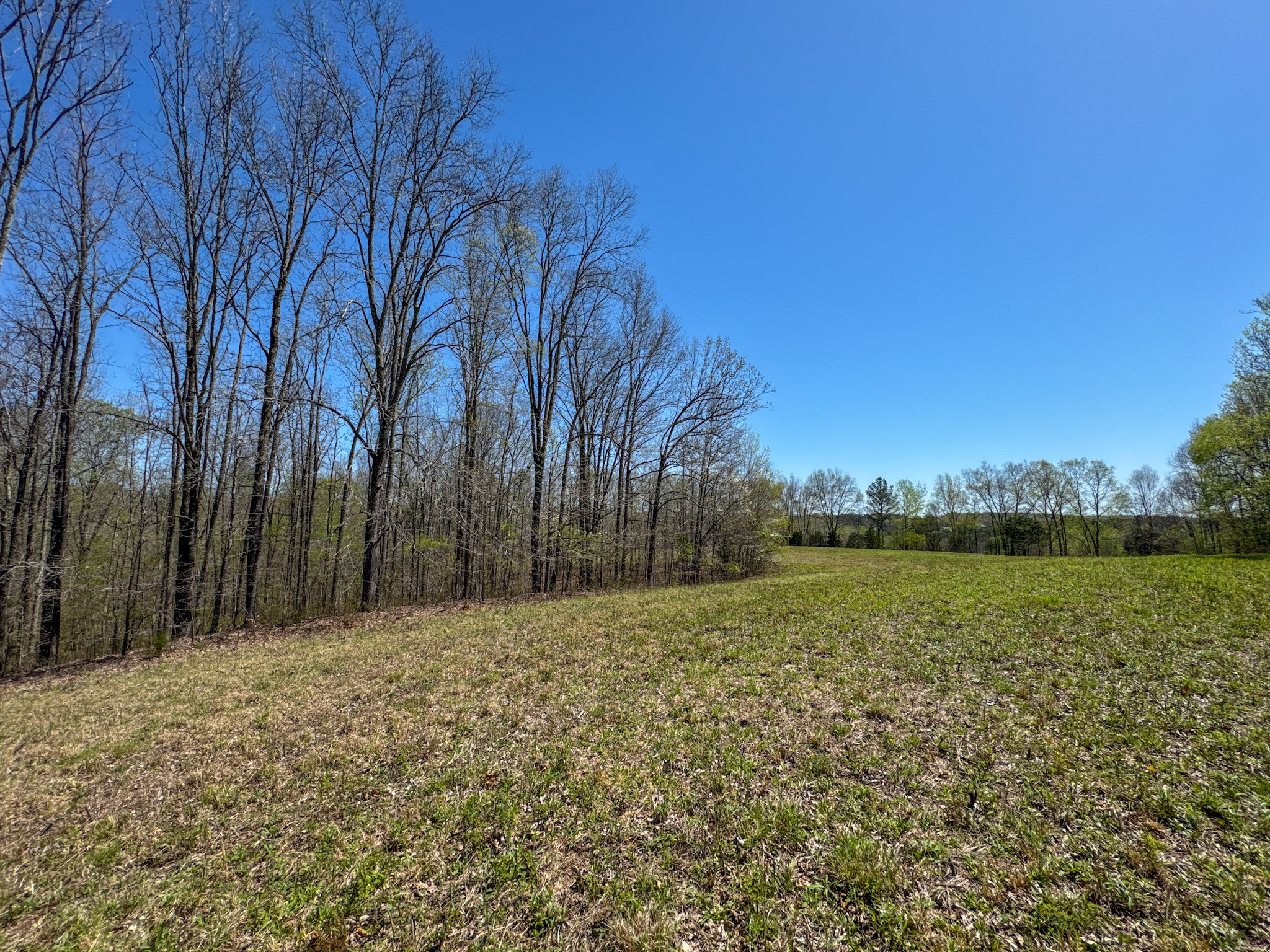 3850 Grandaddy Road Lawrenceburg, TN 38464 - Photo 50 of 61