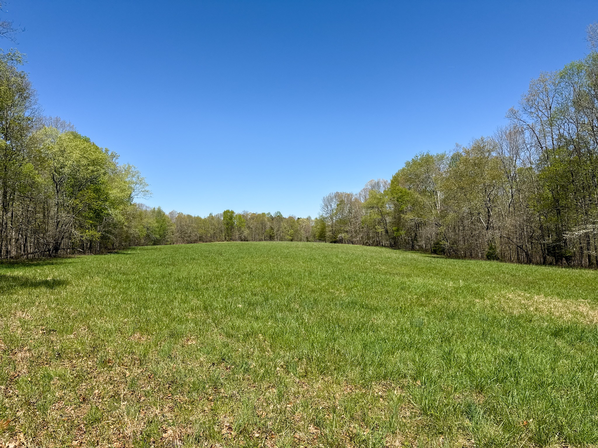 3850 Grandaddy Road Lawrenceburg, TN 38464 - Photo 54 of 61