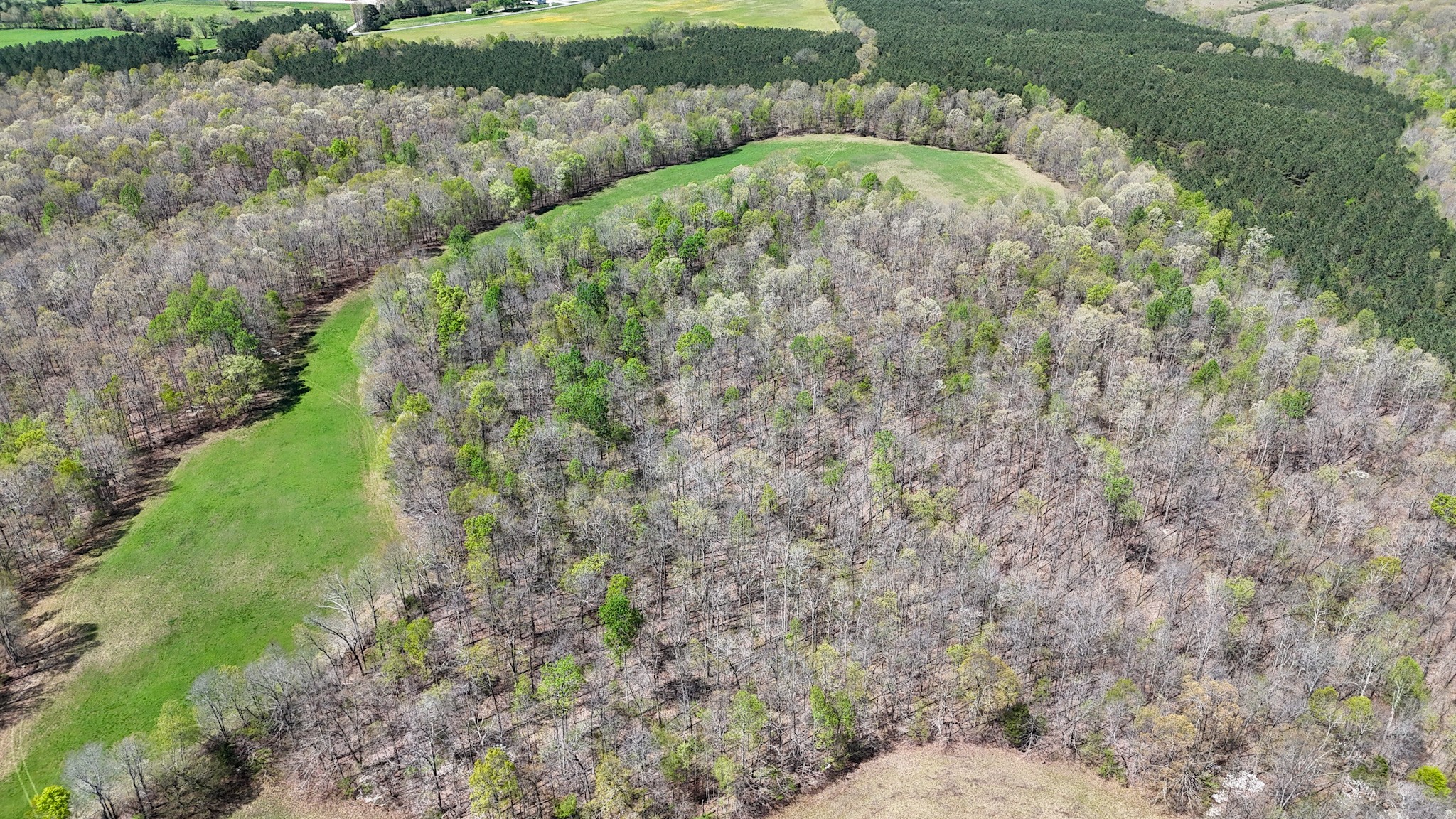 3850 Grandaddy Road Lawrenceburg, TN 38464 - Photo 8 of 61