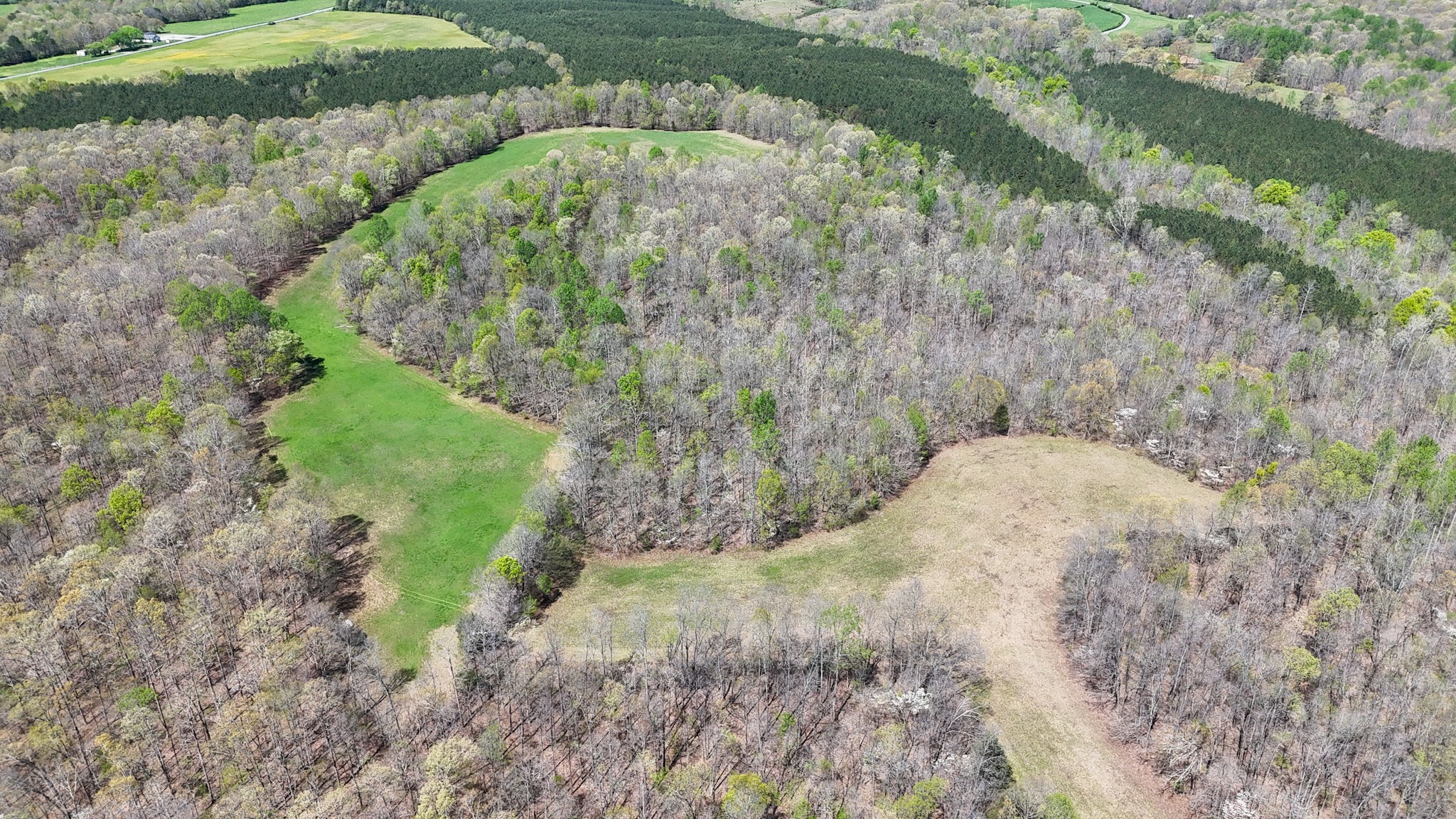 3850 Grandaddy Road Lawrenceburg, TN 38464 - Photo 9 of 61