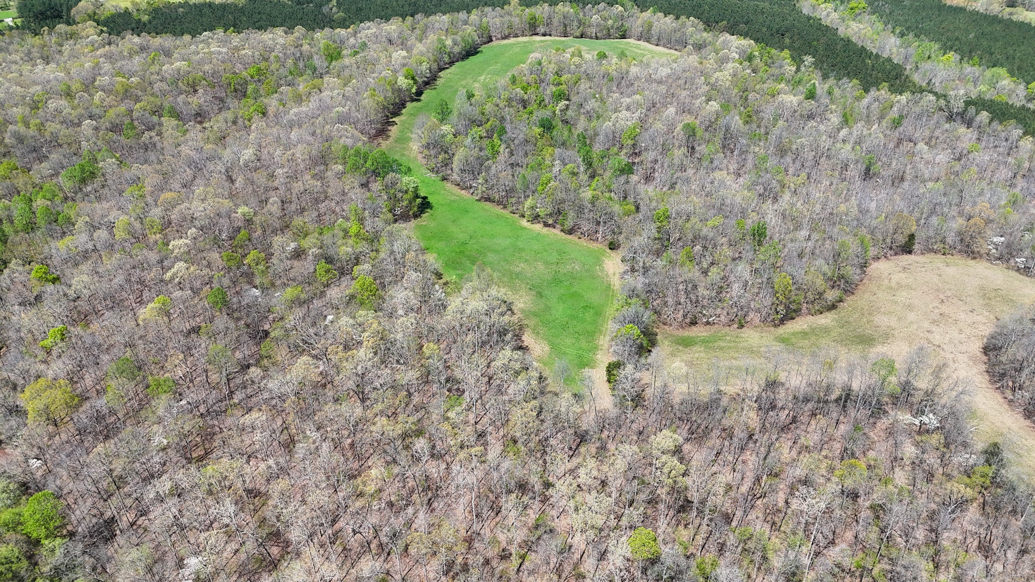 3850 Grandaddy Road Lawrenceburg, TN 38464 - Photo 10 of 61